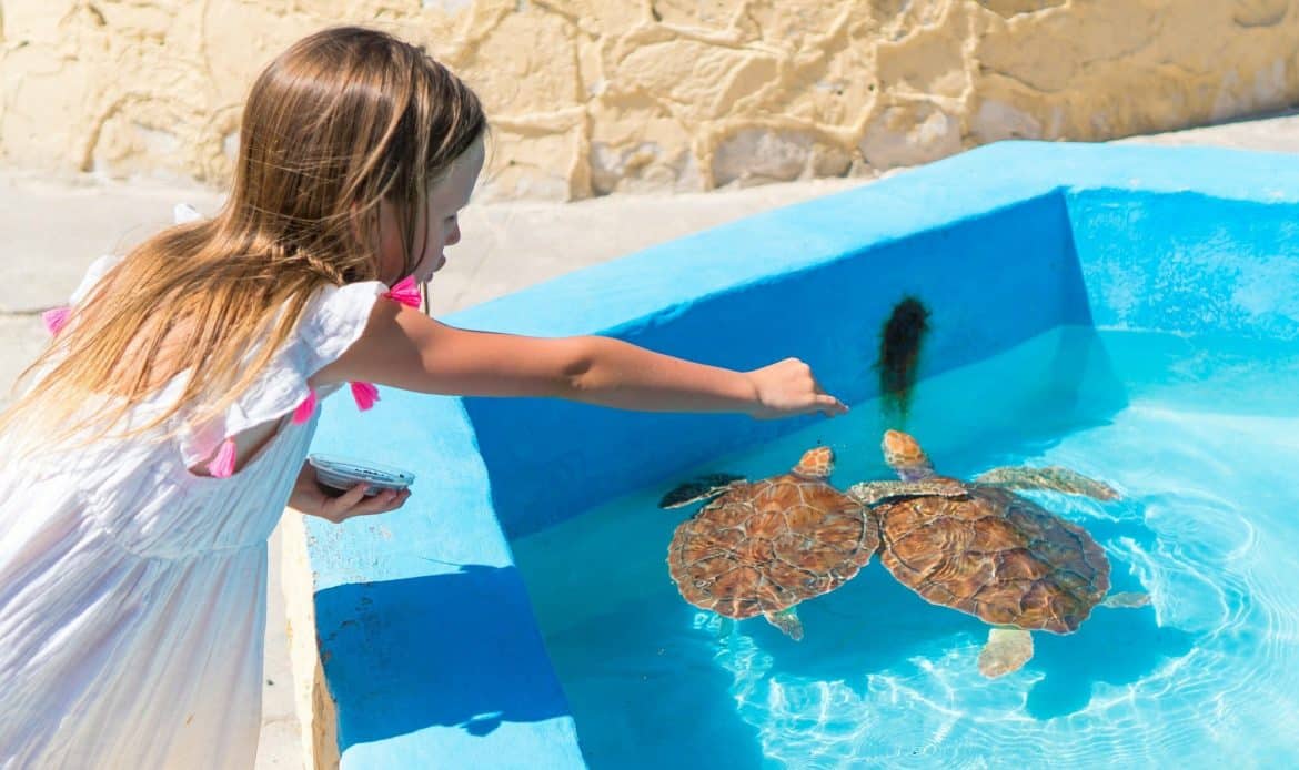 Adorable little girl feeds turtles in the natural reserve